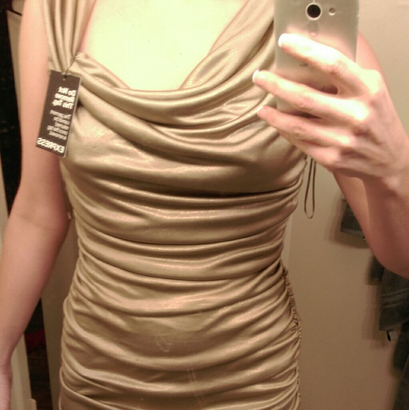 Shimmery Gold Express Dress - Picture 2 of 4