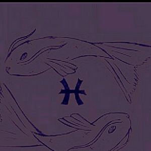 Meet your Posher, Sharie