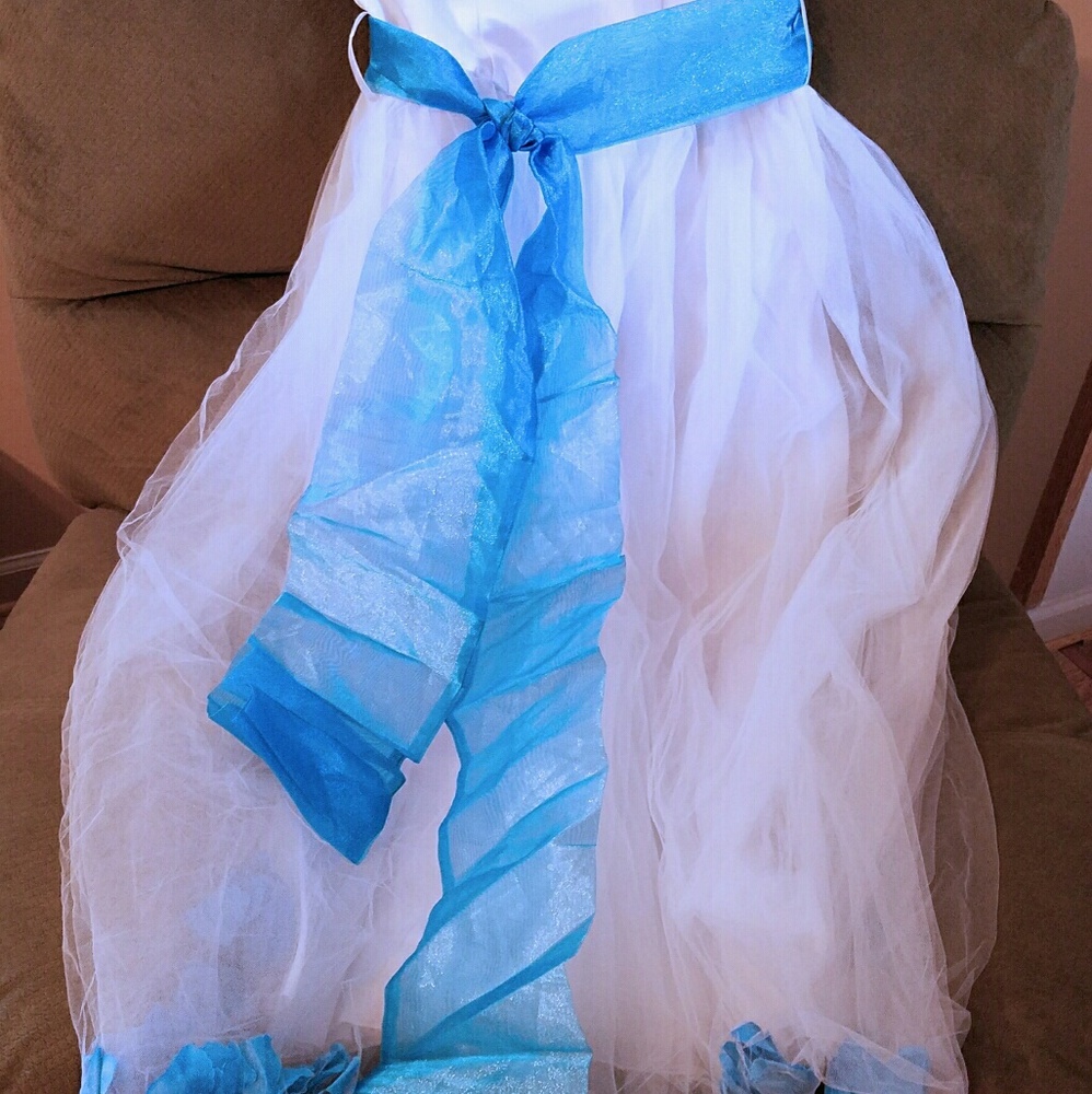 Litter girl dress