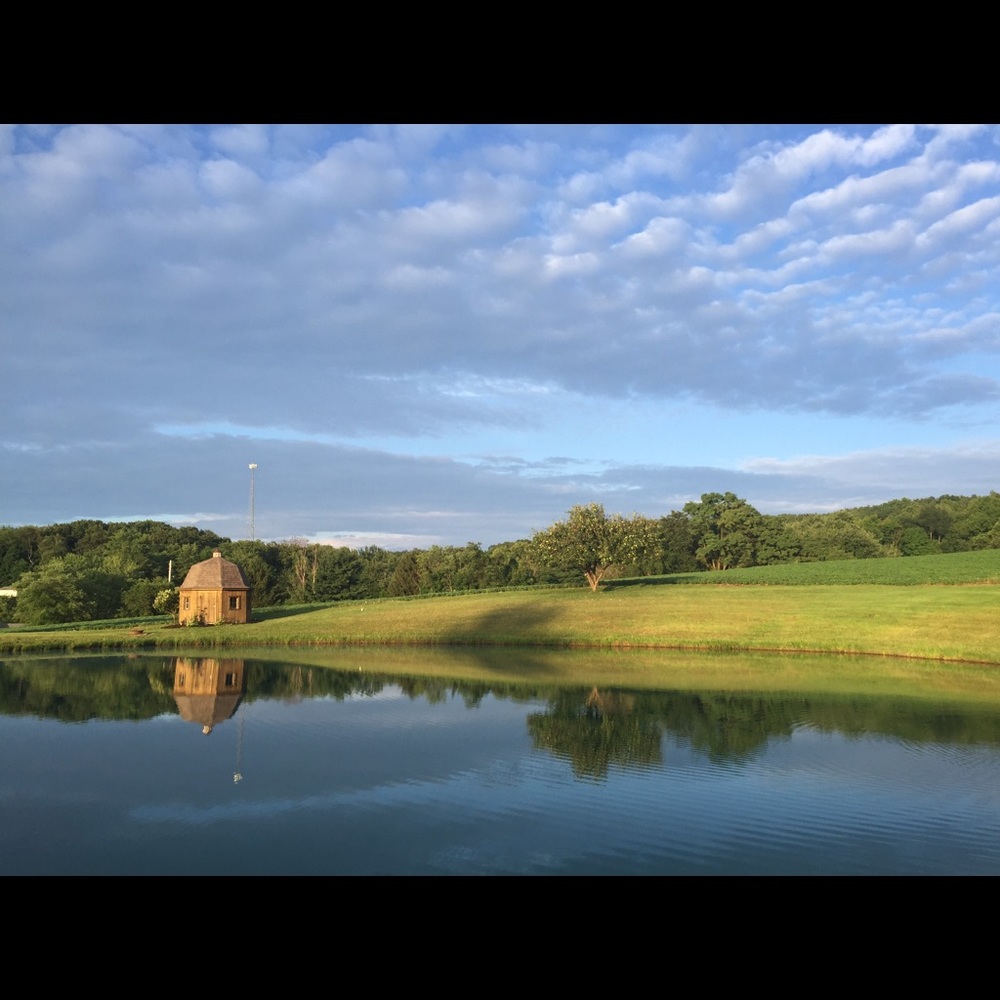 Meet your Posher, Kellie