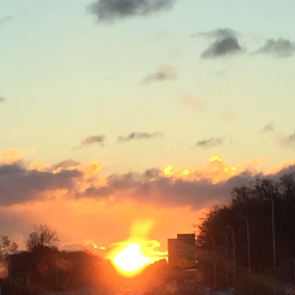 Meet your Posher, Kathleen