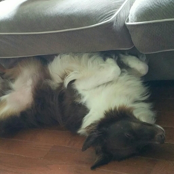 Meet your Posher, Erica - Picture 6 of 8