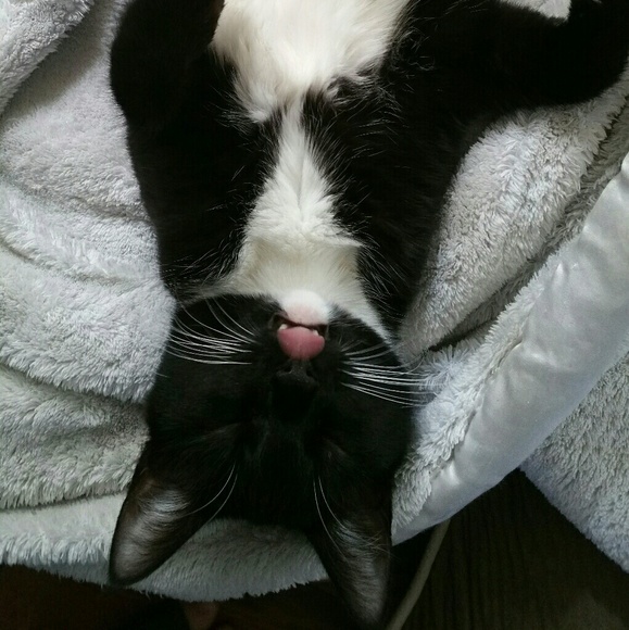 Meet your Posher, Erica - Picture 7 of 8