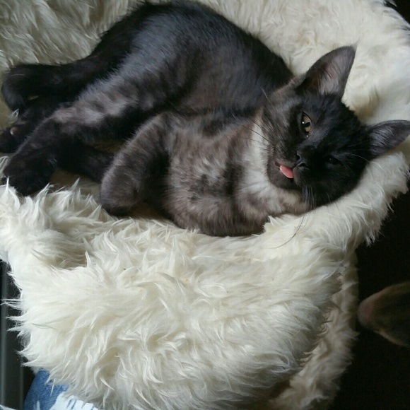 Meet your Posher, Erica - Picture 8 of 8