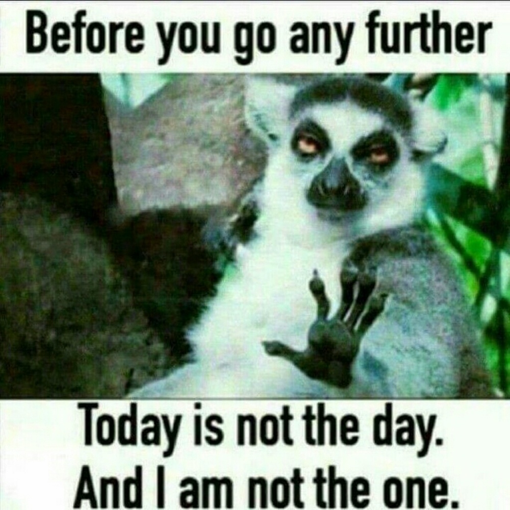 YASSSS !!!!