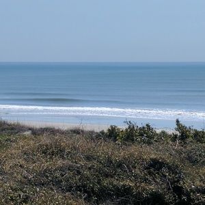 Meet your Posher, Shaleyia