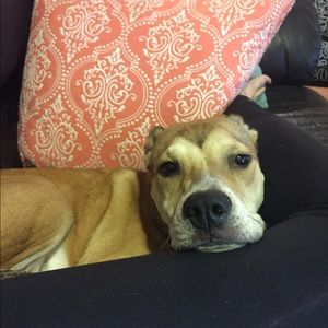 Meet your Posher, Erin