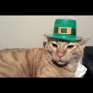 Meet your Posher, Lane