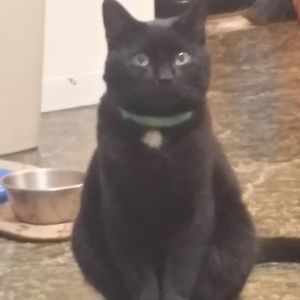 Meet your Posher, Billiejoe