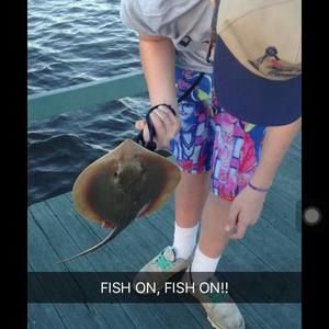 Meet your Posher, Grayson