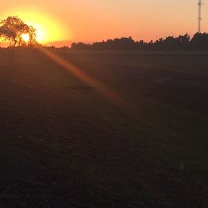 Meet your Posher, Meghan