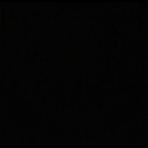 Meet your Posher, Lizzeth