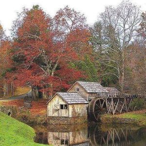 Meet your Posher, Roma