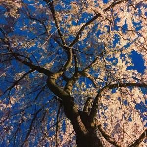 Meet your Posher, Chang hwan