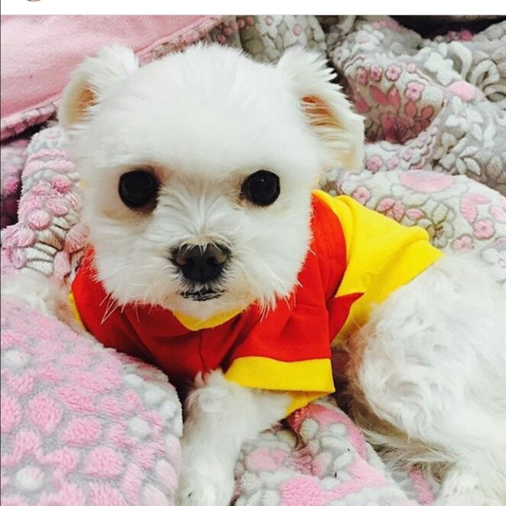 Meet your Posher, Michelle