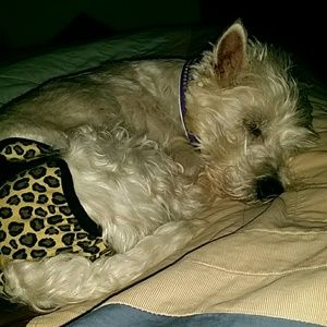 Meet your Posher, Karla