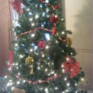 Meet your Posher, Tammy