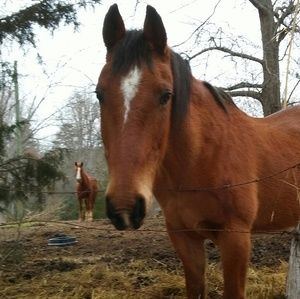 Meet your Posher, Amanda