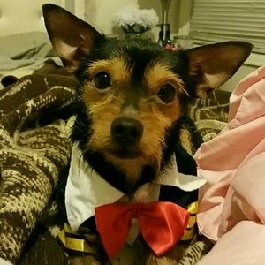 Meet your Posher, Yvette