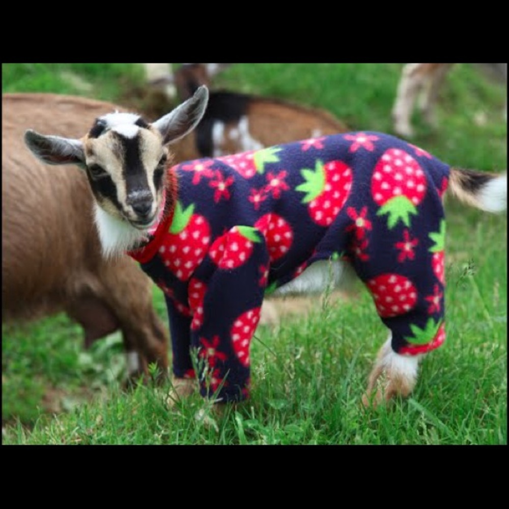 Hi Ladies!  Hope you enjoy my closet clean out.