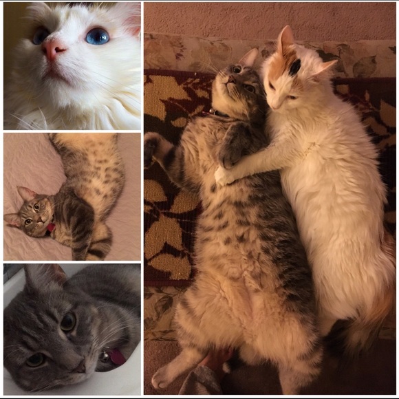 Meet your Posher 😊😝🤗 - Picture 3 of 6