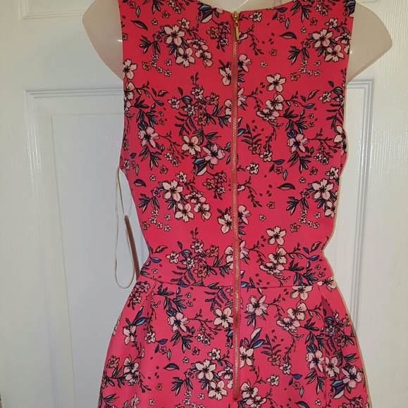 Copper Key Skater Dress - Picture 5 of 6