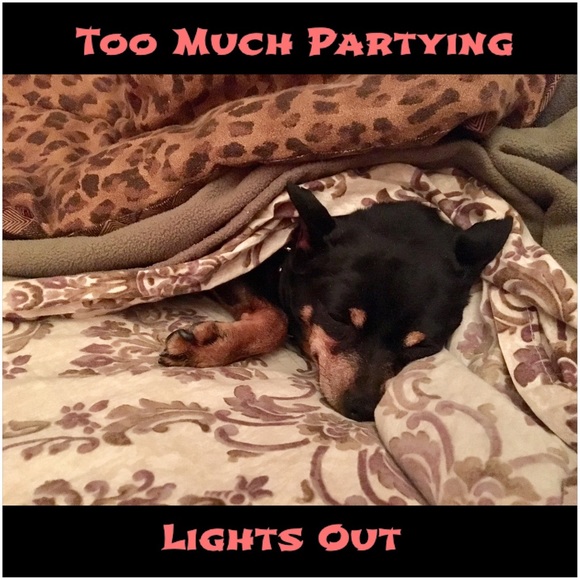 ๐Lights Out / Party's Over๐ - Picture 1 of 2