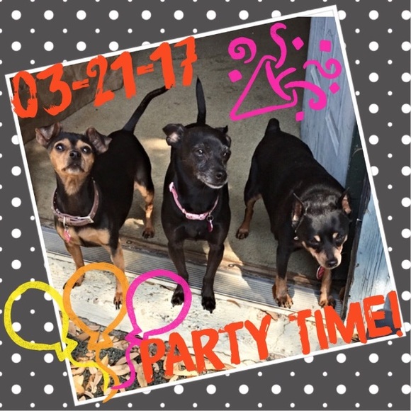 ๐Thank You Everyone!๐ - Picture 3 of 3