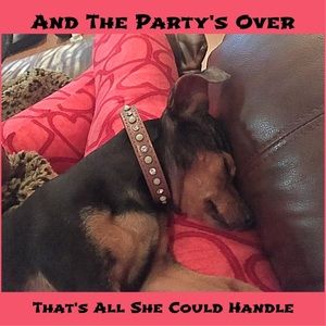 🎉Thank You Everyone!🎉