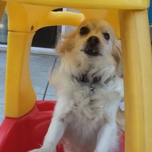 Meet your Posher, Eric