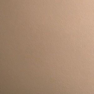 Meet your Posher, Anne