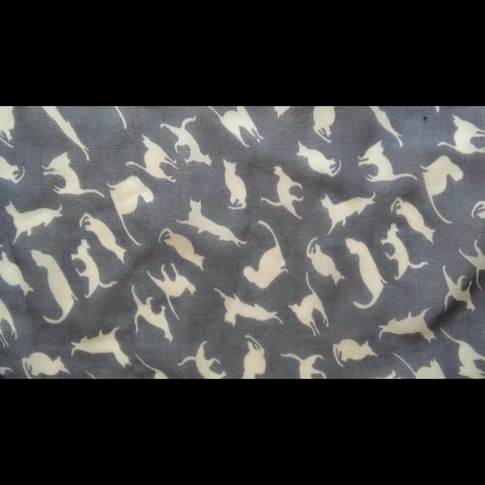 Cat print sheer chiffon scarf