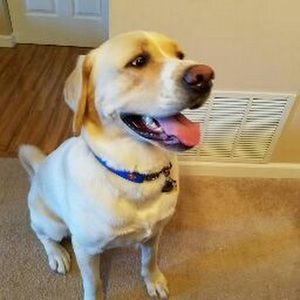 Meet your Posher, Jackie