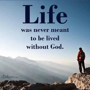 Meet your Posher, Kitty ann