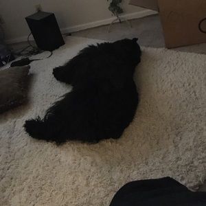 Meet your Posher, Ethan