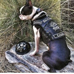 Meet your Posher, Jean