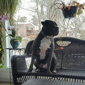 Meet your Posher, Julie