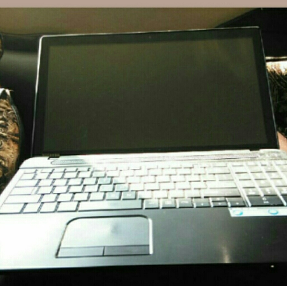 Meet your Posher, King