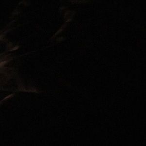 Meet your Posher, Mario