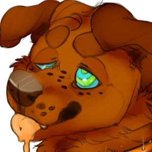 Meet your Posher, A.