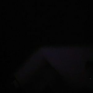 Meet your Posher, Pooh