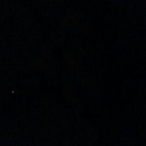 Meet your Posher, Talitha