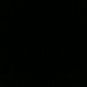 Meet your Posher, Lashonda