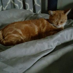 Meet your Posher, Ruth