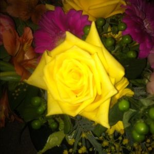 Meet your Posher, Karen