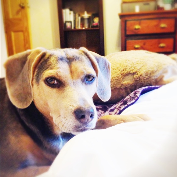 Meet your Posher, Mary - Picture 3 of 7