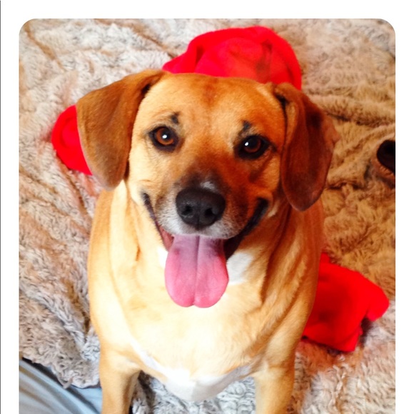 Meet your Posher, Mary - Picture 4 of 7