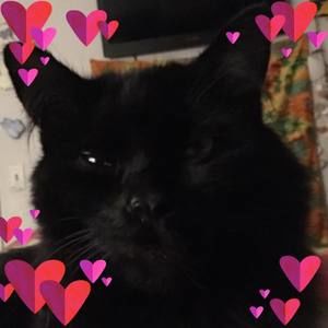 Meet your Posher, Kaarina