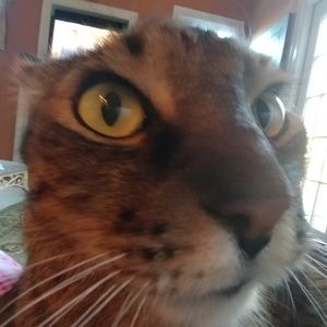 Meet your Posher, Judy