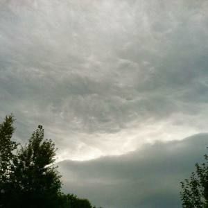 Meet your Posher, Renee